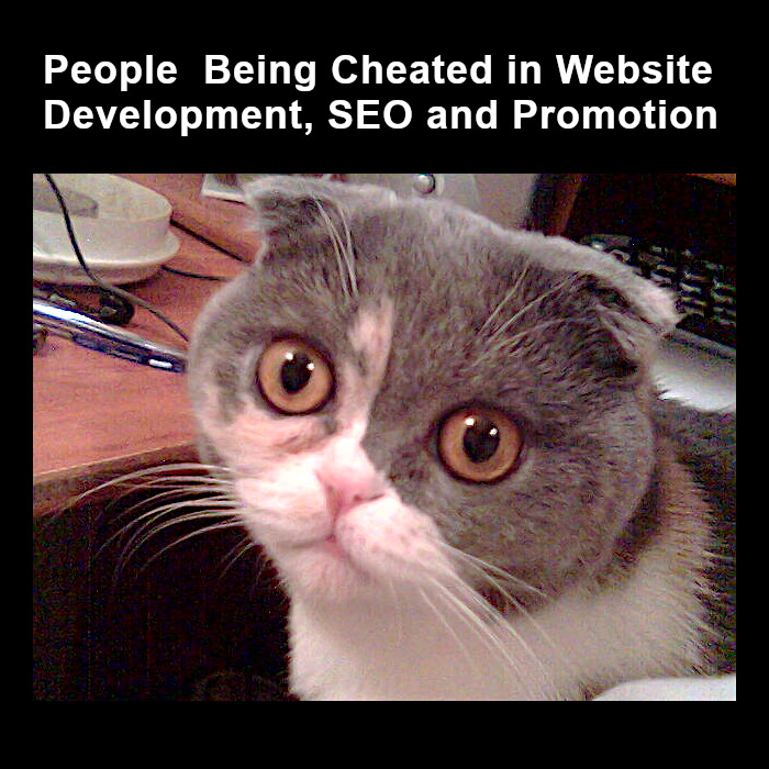People being cheated in website development, SEO and marketing
